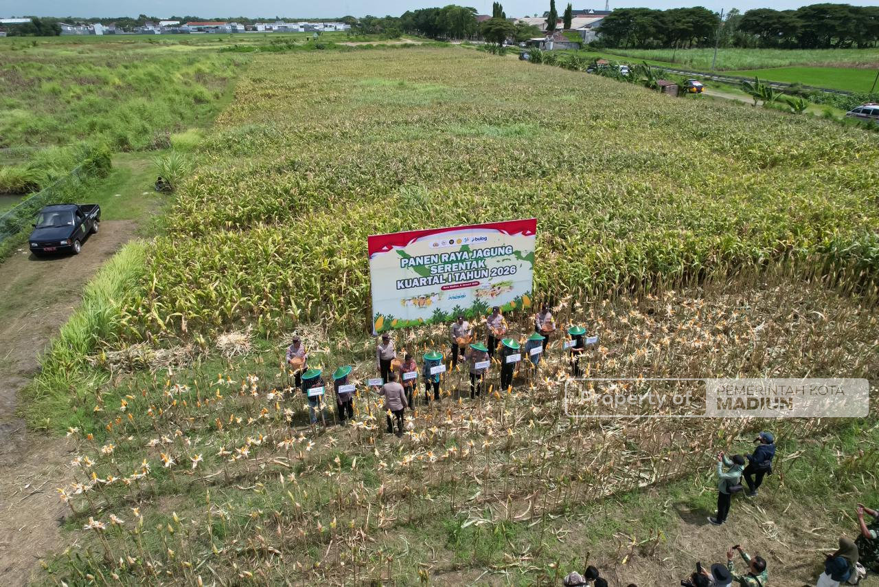 Perkuat Ketahanan Pangan, Pemkot Madiun Bersama Polri dan Forkopimda Gelar Panen Jagung