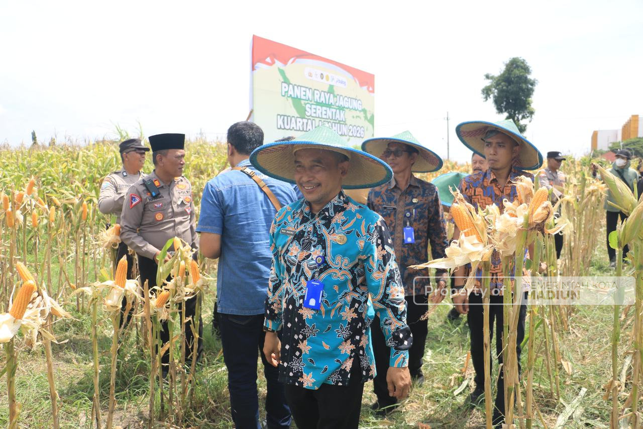 Perkuat Ketahanan Pangan, Pemkot Madiun Bersama Polri dan Forkopimda Gelar Panen Jagung